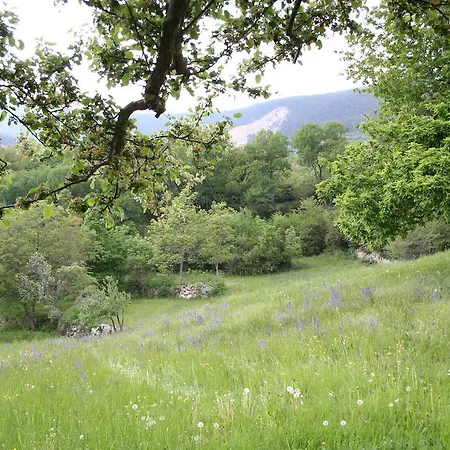 D'aliège Péone